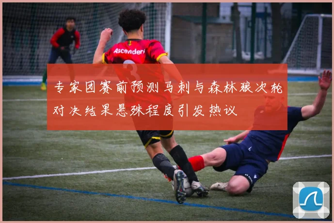 专家团赛前预测马刺与森林狼次轮对决结果悬殊程度引发热议